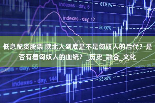 低息配资股票 陕北人到底是不是匈奴人的后代？是否有着匈奴人的血统？_历史_融合_文化